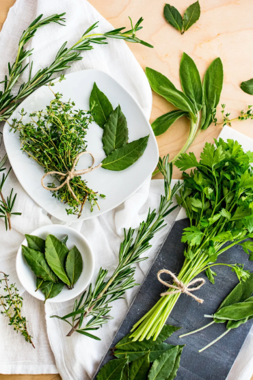 7 Best Herbs for Cycle Support