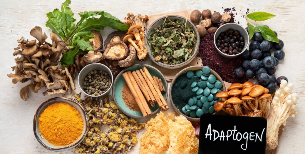Adaptogen Supplements for Energy, Stress, and Cycles
