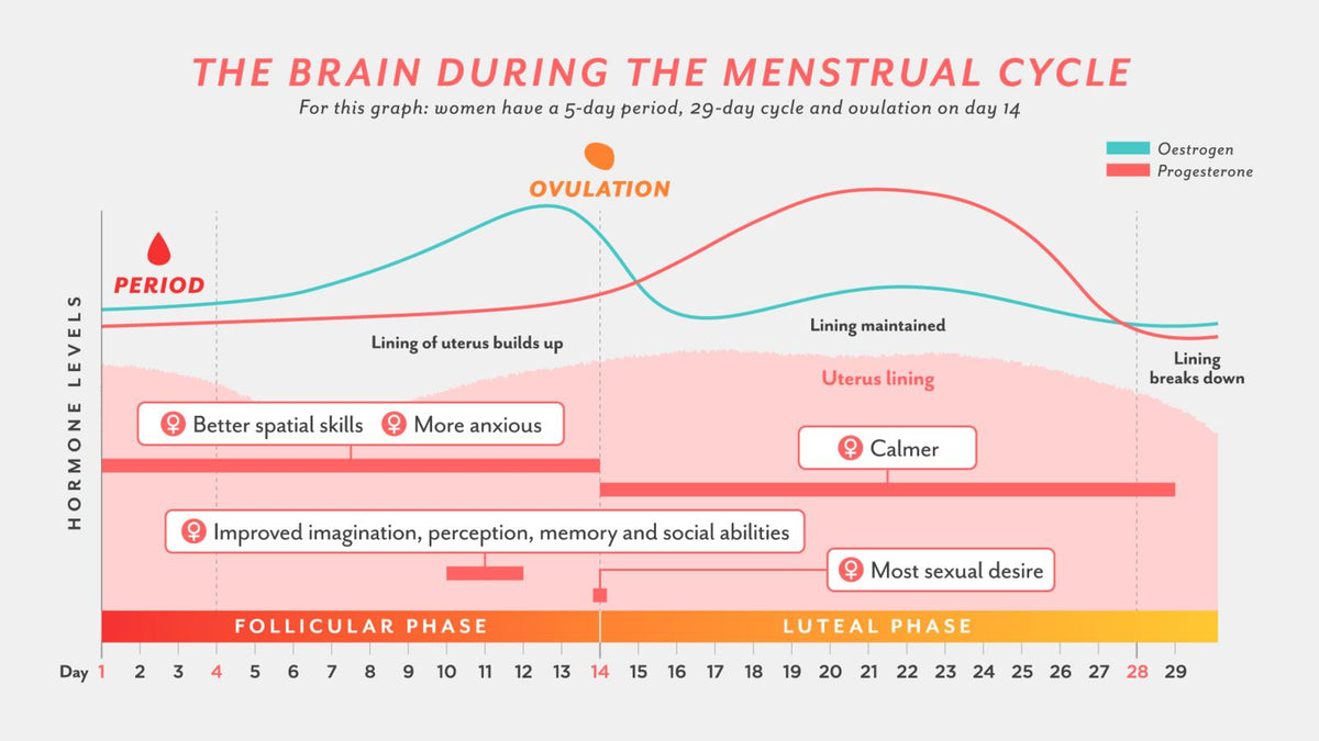 Your Guide to Menstrual Phase Nourishment